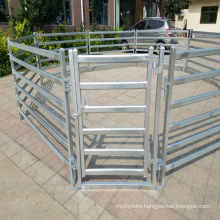 Galvanized iron pipe fencing for horses